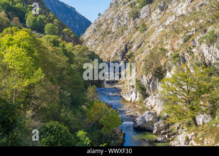 In der Kantabrischen Berge auf dem Weg zu den Picos de Europa Stockfoto