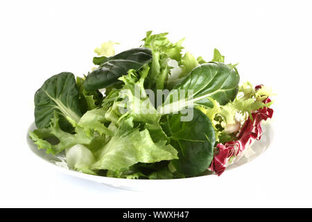 frischer grüner Blattsalat mit Tatsoi auf Teller, isoliert auf weiss Stockfoto