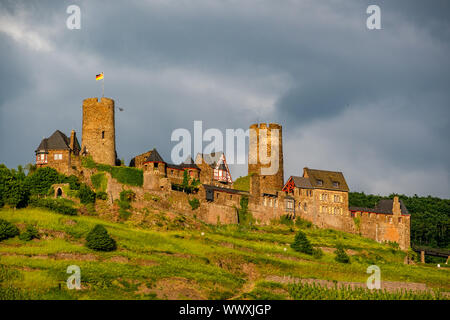 Burg Thurant und Weinberge Mosel in der Nähe von Felsberg, Deutschland. Stockfoto