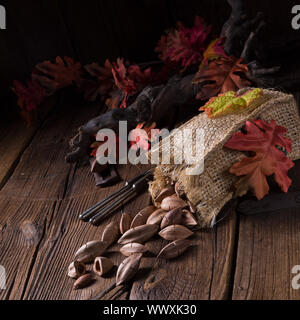 Canarium ovatum, allgemein bekannt als Pili ist eine Pflanzenart aus der Gattung der tropischen Baum Stockfoto