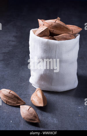 Canarium ovatum, allgemein bekannt als Pili ist eine Pflanzenart aus der Gattung der tropischen Baum Stockfoto