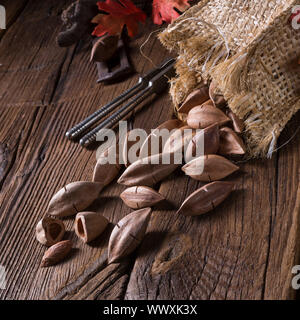 Canarium ovatum, allgemein bekannt als Pili ist eine Pflanzenart aus der Gattung der tropischen Baum Stockfoto