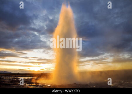 Geysir Strokkur bei Ausbruch bei Sonnenaufgang, geothermalgebiet Haukadalur, South Island, Island, Europa Stockfoto