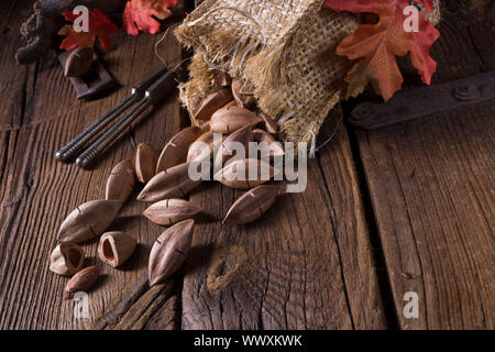 Canarium ovatum, allgemein bekannt als Pili ist eine Pflanzenart aus der Gattung der tropischen Baum Stockfoto