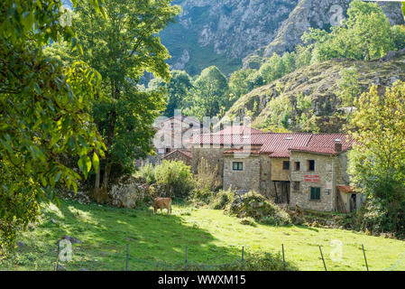 Bulnes ist ein Weiler in der Gebirgskette Picos de Europa Stockfoto