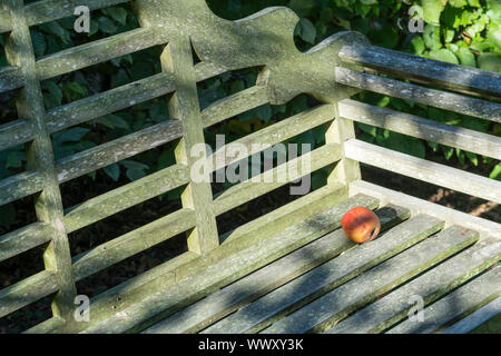 Apple auf einer Bank Stockfoto