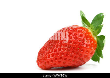 Eine Erdbeere isoliert auf weißem Stockfoto