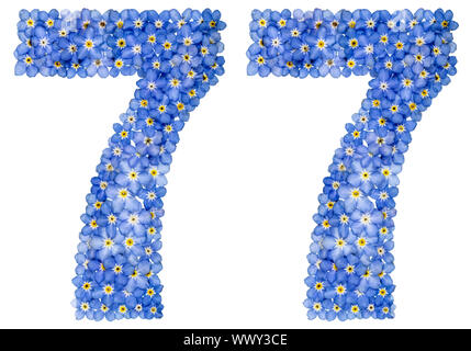 Arabische Zahlen 77, 77, von den blauen Vergißmeinnicht Blumen Stockfoto