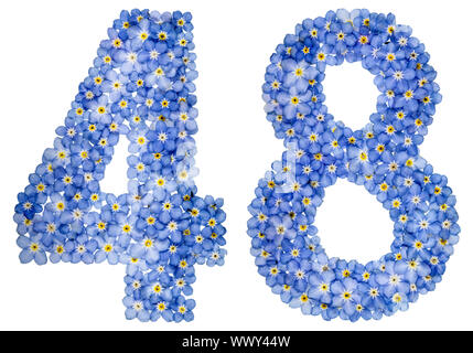 Arabische Zahlen 48, 48, von den blauen Vergißmeinnicht Blumen Stockfoto