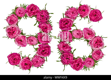 Arabische Zahlen 96, 90 Sechs, von roten Blüten der Rose, auf weißem Hintergrund Stockfoto
