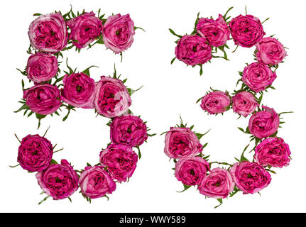 Arabische Zahlen 53, 50 drei, von roten Blüten der Rose, auf weißem Hintergrund Stockfoto