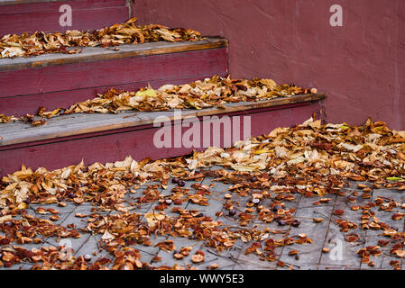 Gefallenen Herbst Laub und Kastanien auf einer Straße der Stadt. Abstrakt Herbst Hintergrund mit den Schritten und Blätter Stockfoto