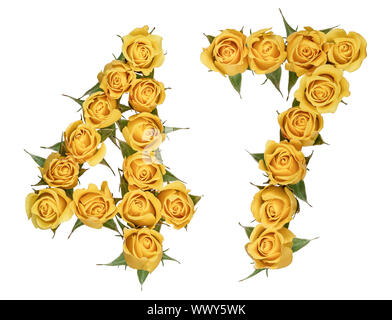 Arabische Zahlen 47, 47, von gelben Blumen aus Rose, auf weißem Hintergrund Stockfoto