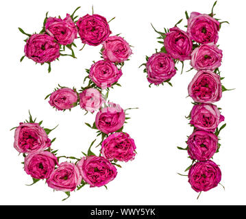 Arabische Zahlen 31, 30, von roten Blüten der Rose, auf weißem Hintergrund Stockfoto