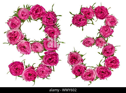 Arabische Zahlen 93, 90 drei, von roten Blüten der Rose, auf weißem Hintergrund Stockfoto