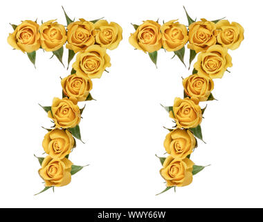 Arabische Zahlen 77, 77, von gelben Blumen aus Rose, auf weißem Hintergrund Stockfoto