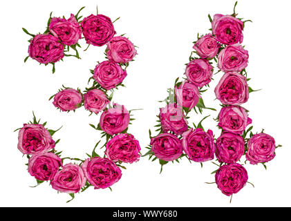 Arabische Zahlen 34, 34, von roten Blüten der Rose, auf weißem Hintergrund Stockfoto