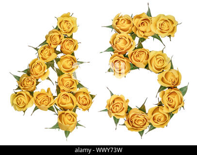 Arabische Zahlen 45, 45, von gelben Blumen aus Rose, auf weißem Hintergrund Stockfoto