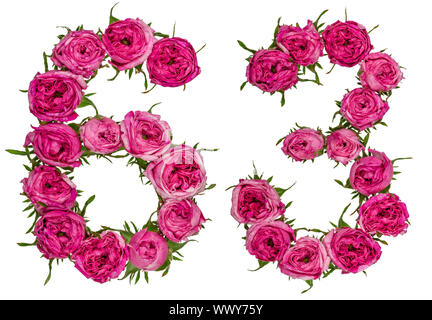 Arabische Zahlen 63, 60 drei, von roten Blüten der Rose, auf weißem Hintergrund Stockfoto