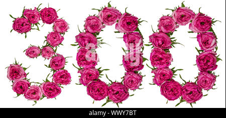 Arabische Zahl 300, drei hundert, von roten Blüten der Rose, auf weißem Hintergrund Stockfoto