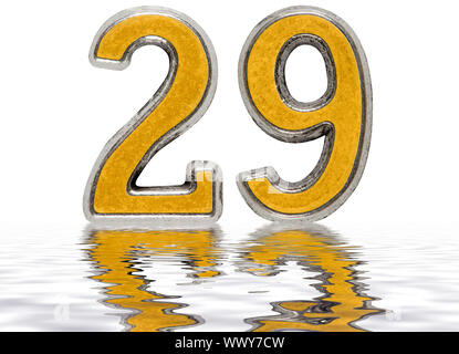 Ziffern 29, 29, auf der Wasseroberfläche reflektiert, auf Weiß, 3D-Render isoliert Stockfoto