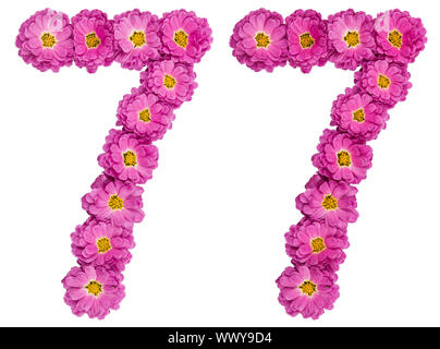 Arabische Zahlen 77, 77, von Blumen der Chrysantheme, auf weißem Hintergrund Stockfoto
