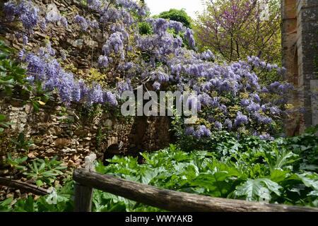 Kloster Kaisariani, Athen Stockfoto