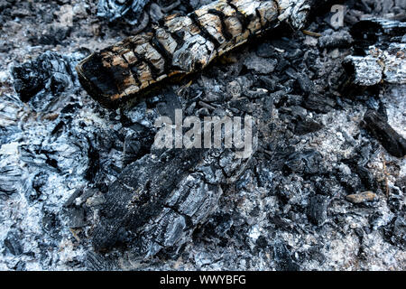 Verkohltes Holz und Asche in Nahaufnahme Stockfoto