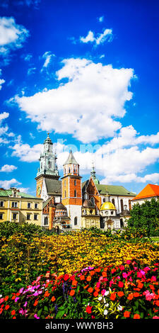 Mittelalterliches Schloss Wawel in Krakau, Polen. Basilika St. Stanislaw und Vaclav oder Kathedrale auf dem Wawel Wawel mit bunten Blumen im Vordergrund Stockfoto