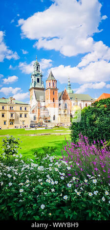 Mittelalterliches Schloss Wawel in Krakau, Polen. Basilika St. Stanislaw und Vaclav oder Kathedrale auf dem Wawel Wawel mit bunten Blumen im Vordergrund Stockfoto