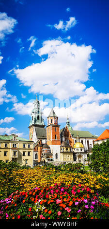 Mittelalterliches Schloss Wawel in Krakau, Polen. Basilika St. Stanislaw und Vaclav oder Kathedrale auf dem Wawel Wawel mit bunten Blumen im Vordergrund Stockfoto