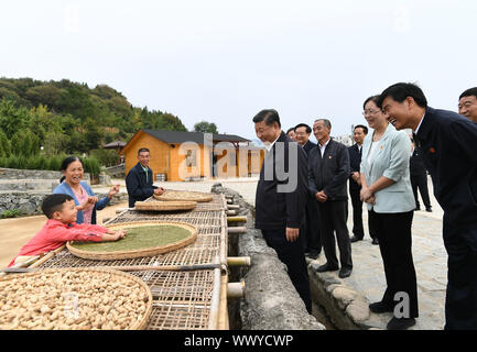 Xinxian, China. 16 Sep, 2019. Der chinesische Präsident Xi Jinping, auch Generalsekretär der Kommunistischen Partei Chinas und Vorsitzender der Zentralen Militärkommission, lernt über Gebäude der Stadt Chuangke oder Entscheidungsträger, und die Förderung des ländlichen Tourismus und ländliche Revitalisierung durch rote touristischen Ressourcen an Tianpudawan in Tianpu Township von xinxian County, China, Sept. 16, 2019. Credit: Xie Huanchi/Xinhua/Alamy leben Nachrichten Stockfoto