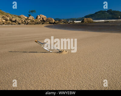 Eine Flasche mit einer Nachricht im Inneren wird am Strand begraben. Stockfoto