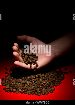 Die Hand eines Mannes Kaffeebohnen auf eine rote Fläche fallen zu lassen. Stockfoto