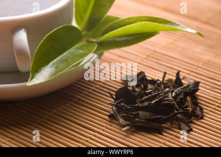 Eine Tasse grüner Tee mit frische Blätter an den Bambus Fach Stockfoto