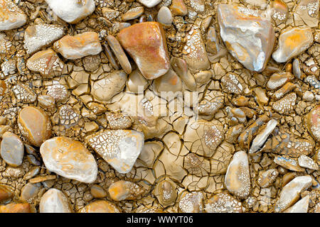 Getrocknet und Erde Textur oder Hintergrund gerissen. Klimawandel, Wasser Krise und der globalen Erwärmung. Stockfoto