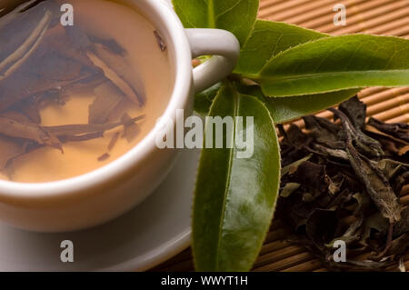 Eine Tasse grüner Tee mit frische Blätter an den Bambus Fach Stockfoto