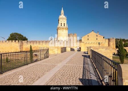 Die Alte Brücke und die Kathedrale von La Asuncion in El Burgo de Osma Dorf, Soria, Spanien Stockfoto