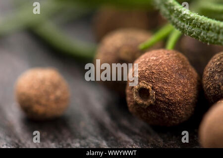 Piment mit frischem Rosmarin Stockfoto