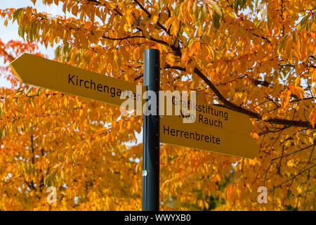 Goldener Oktober in Aschersleben Stockfoto