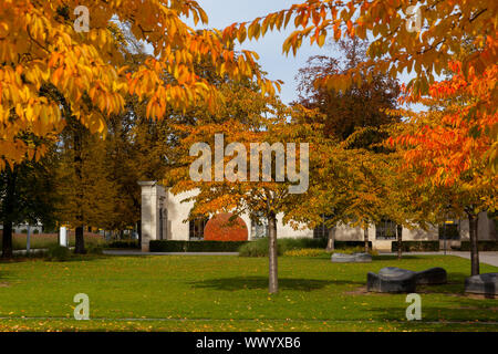 Goldener Oktober in Aschersleben Stockfoto