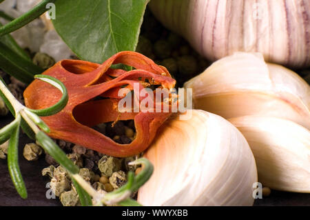 Kräuter und Gewürze Knoblauch, rosematy, Lorbeer, Pfeffer, alt, Muskatnuss, Vanille, Kardamom Stockfoto