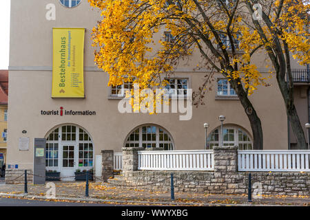 Goldener Oktober in Aschersleben Stockfoto