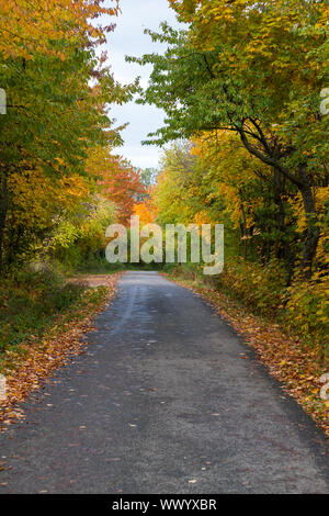 Straße mit Herbst Flair Stockfoto