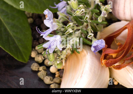 Kräuter und Gewürze Knoblauch, rosematy, Lorbeer, Pfeffer, alt, Muskatnuss, Vanille, Kardamom Stockfoto