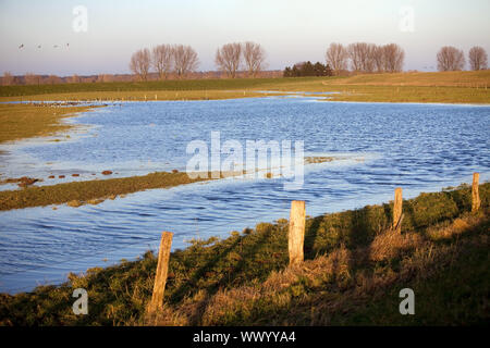 Natur Unterhaltung Bereich Bislicher Insel bei hohen Wasserzeichen, Wesel, Niederrhein, Deutschland, Europa Stockfoto