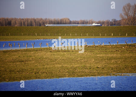 Natur Unterhaltung Bereich Bislicher Insel bei hohen Wasserzeichen, Wesel, Niederrhein, Deutschland, Europa Stockfoto