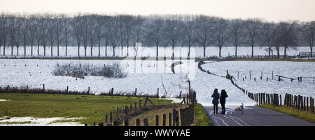 Straße Naturschutz Bereich Bislicher Insel bei hohen Wasserzeichen, Wesel, Niederrhein, Deutschland Stockfoto