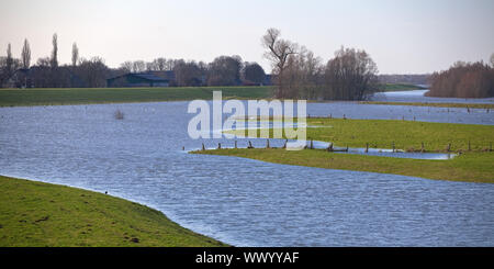 Natur Unterhaltung Bereich Bislicher Insel bei hohen Wasserzeichen, Wesel, Niederrhein, Deutschland, Europa Stockfoto