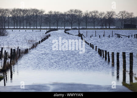 Straße Naturschutz Bereich Bislicher Insel bei hohen Wasserzeichen, Wesel, Niederrhein, Deutschland Stockfoto